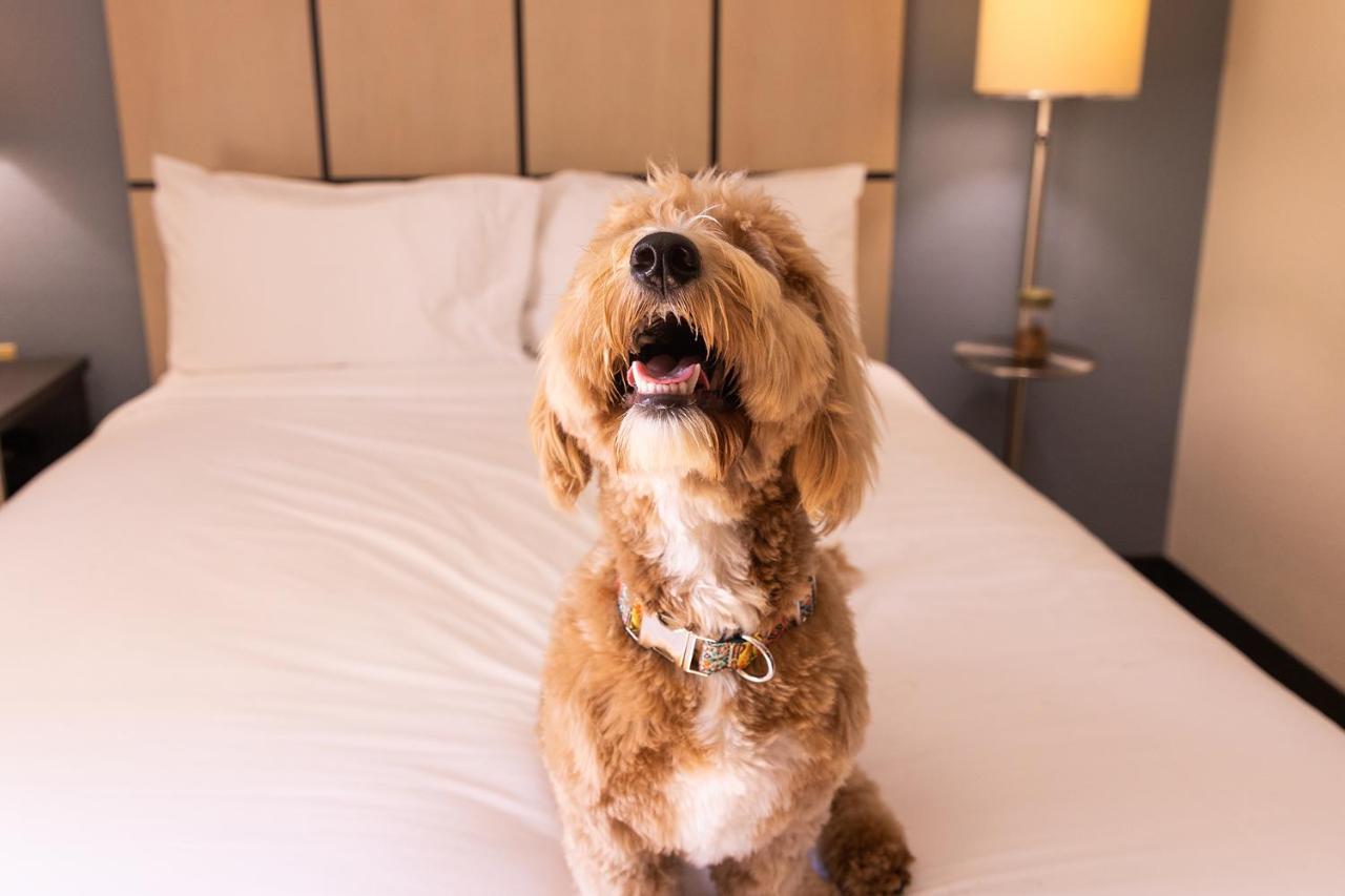 Sonesta Simply Detroit 3* Troy