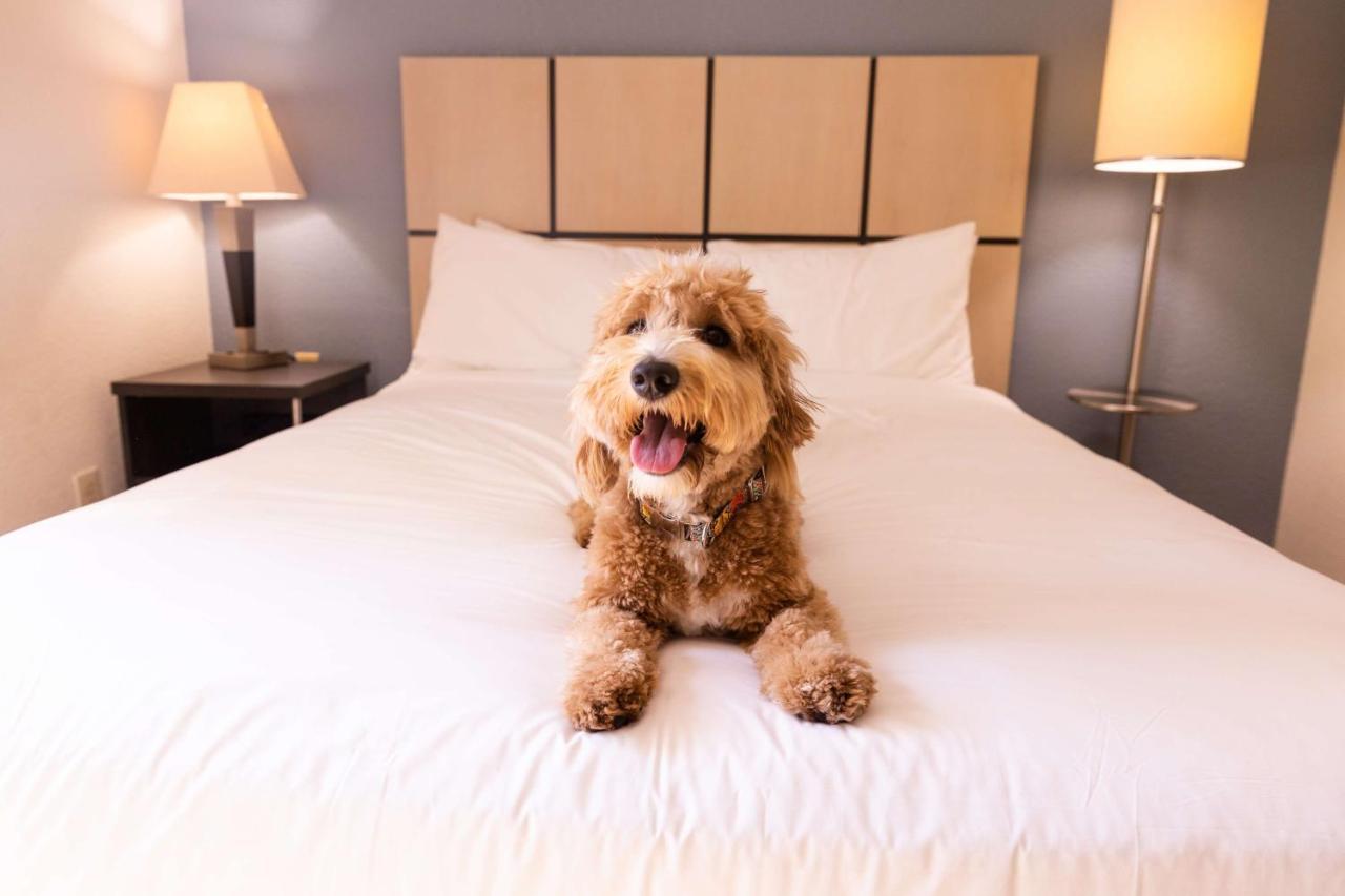 Sonesta Simply Detroit 3* Troy
