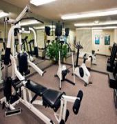 Hotel Sonesta Simply Detroit 3*